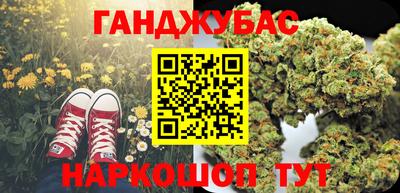 амф Кингисепп