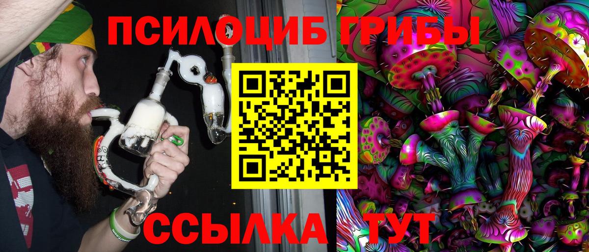 Псилоцибиновые грибы Magic Shrooms  закладки  Кувандык  Вход с VPN 